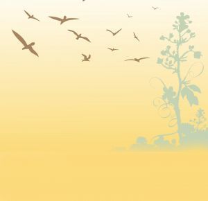 bg bird scene full1440w 160 3000